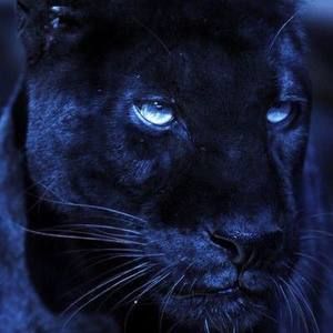 Meet your Posher, J sierra